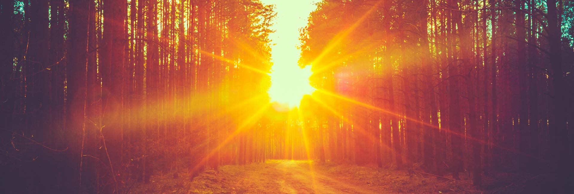 VITAMIN D – BESPLATAN SUNČEV DAR!